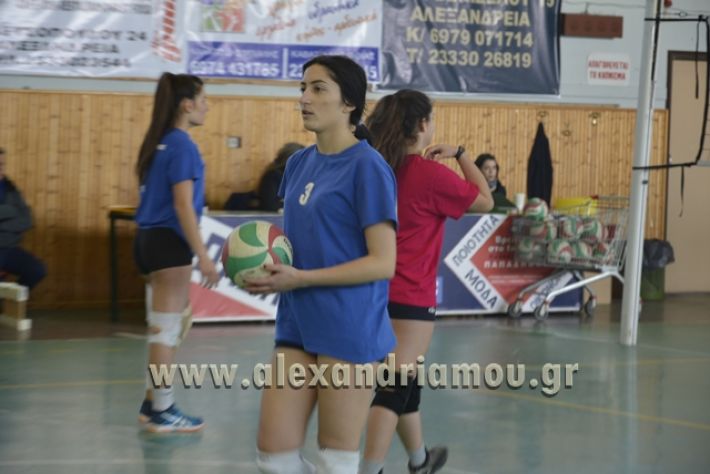 volley_1o-alexandreias-melikis2018 (39)